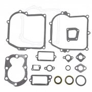 590777 Engine Gasket Set Replaces 794209, 699933, 298989 for Briggs & Stratton
